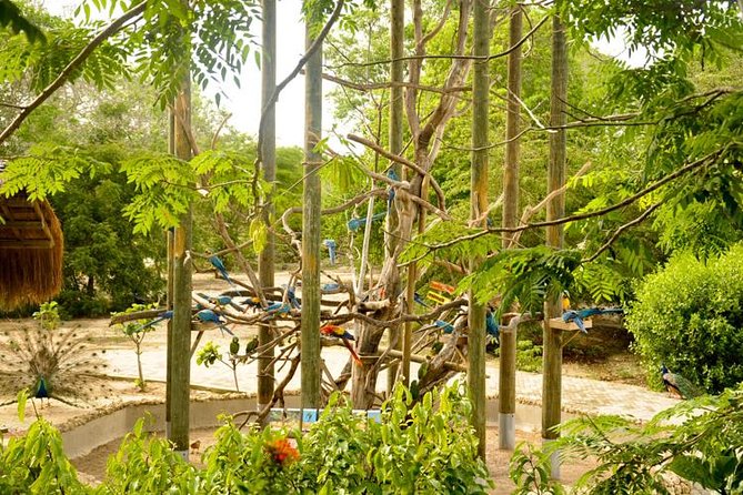 National Aviary private from Cartagena - Price and value: is $267 per person fair for this setup?