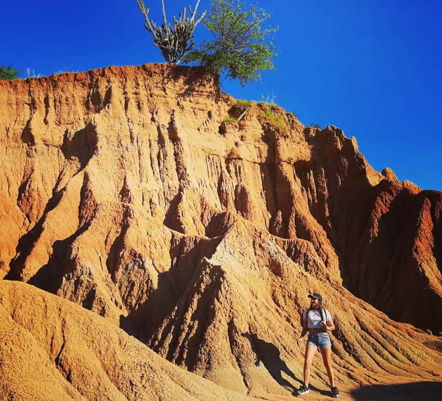 Neiva: Guided Day Trip to the Tatacoa Desert with Lunch - Key highlights you will remember