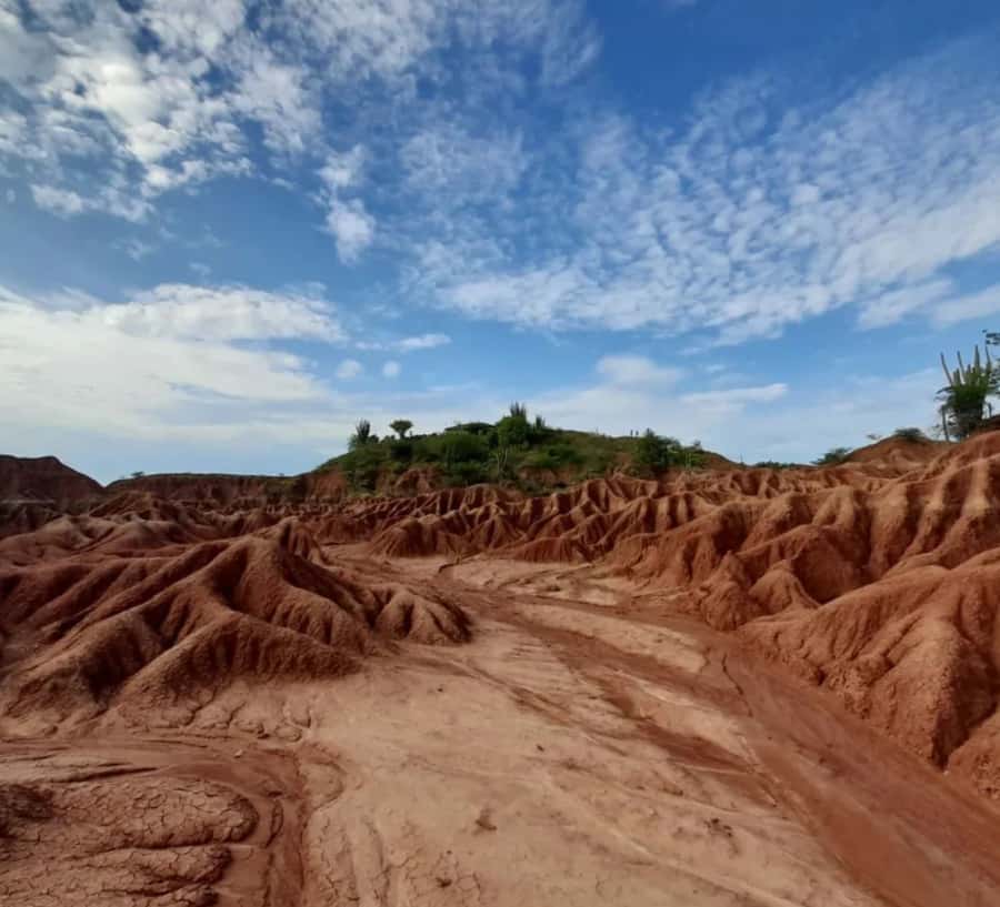 Neiva: Guided Day Trip to the Tatacoa Desert with Lunch - Boat tour on the Magdalena River, a green break before the sand