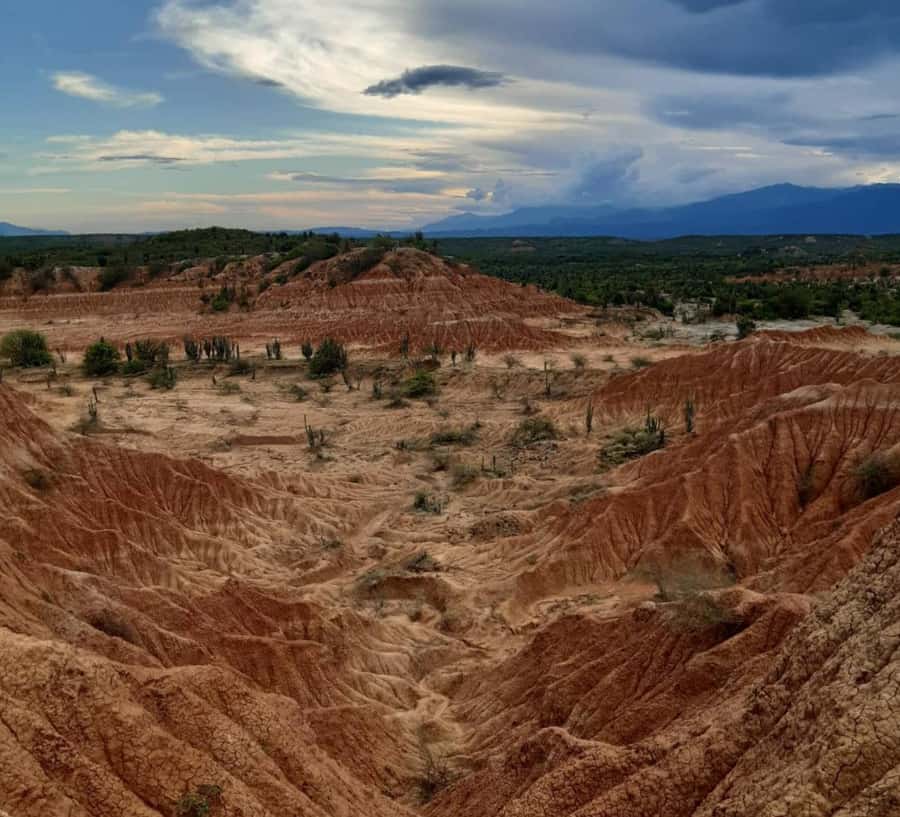 Neiva: Guided Day Trip to the Tatacoa Desert with Lunch - Getting going: 8:30 pickup and Villavieja’s museum stop