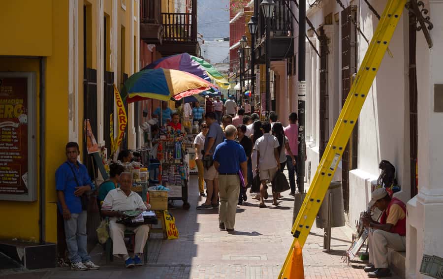 Old Town and Quinta Pedro Alejandrino Santa Marta City Tour - The guide is the difference between facts and meaning