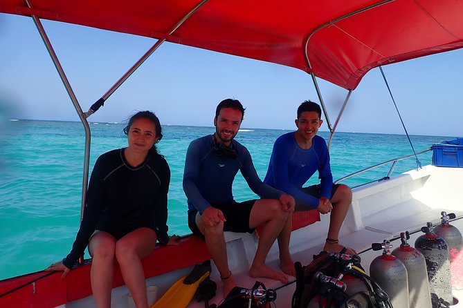 One-Day Diving Mini Course - Discover Scuba Diving - Two Underwater Sessions, Instructor Right There With You