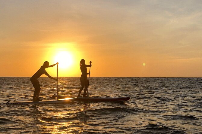 Paddleboard Tour - LED Lights After Dark: The Part That Makes This Tour Worth It