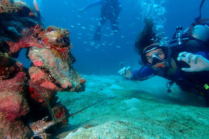 PADI Open Water Diving Course - Key highlights worth planning for