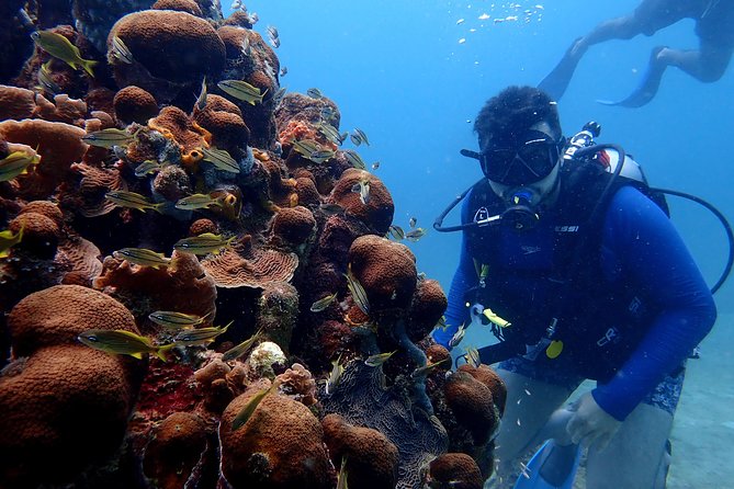 PADI Open Water Diving Course - Meeting point and timing: start at Cartagena Nautical Club