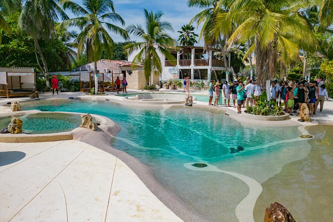 Palmarito Tour with Private Beach, Pools and Full Food - Palmarito Beach Club: Beds, Pools, and That Sea-Facing Setup