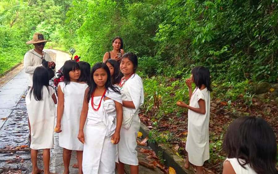 Palomino: Private Tour to Tungueka Indigenous Village - Should you book the Palomino to Tungueka private tour?