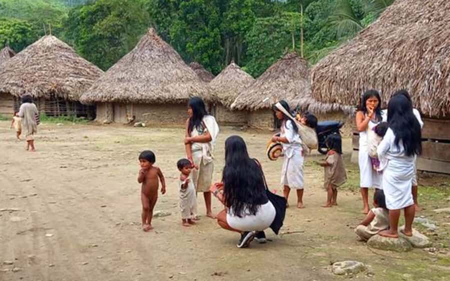 Palomino: Private Tour to Tungueka Indigenous Village - The Sierra Nevada walk: views plus ecological context near the coast