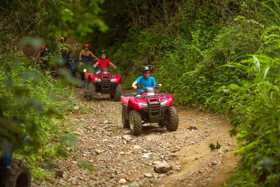 Palomino Quad Bike Tour - Key Highlights You’ll Feel Right Away