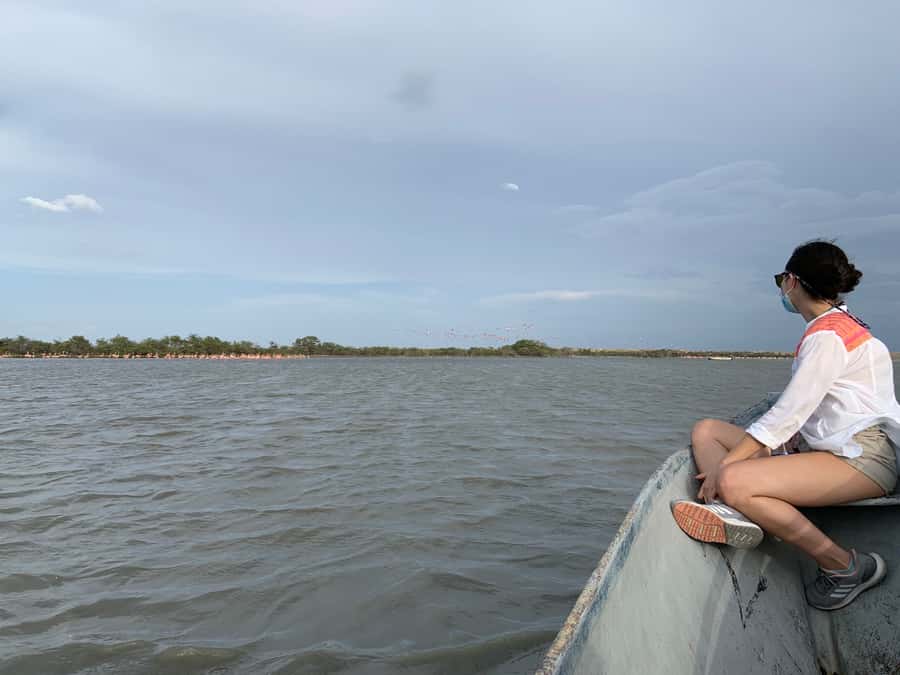 Palomino: Sanctuary of Flamingos Day Tour - What to bring and how to stay comfortable for 6 hours