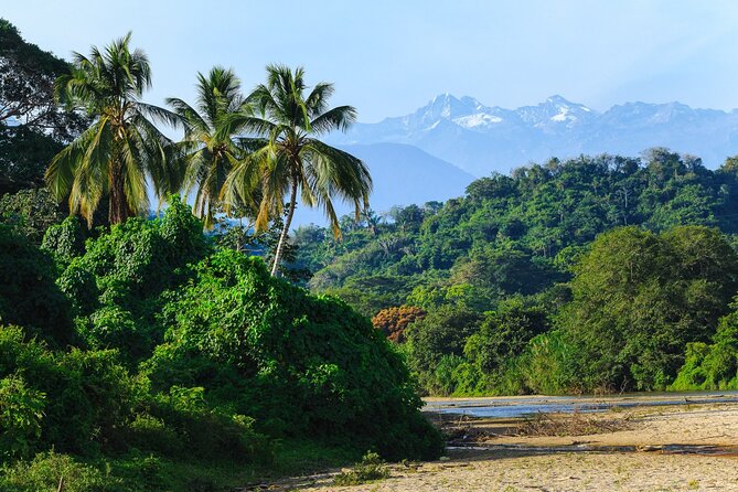 Palomino Tour from Santa Marta with Tubing, Breakfast and Lunch - Palomino Beach After Tubing: Time to Bathe and Do Nothing