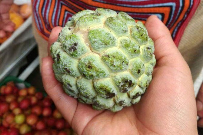 PALOQUEMAO MARKET FOOD TOUR. EXOTIC FRUIT. LOCAL SNACKS. /Min 2 pax - Exotic fruit tasting with a chef and nutritionist logic