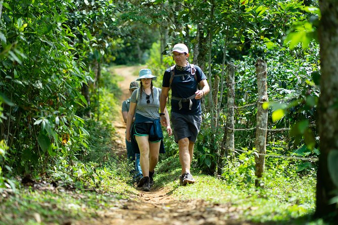 Pance Waterfalls: Hike to discover the biodiversity of the valley - Why the Pance Waterfalls day feels far from Cali