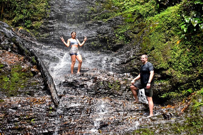Pance Waterfalls: Hike to discover the biodiversity of the valley - Price and what you actually get for $97