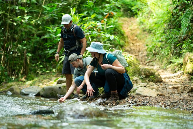 Pance Waterfalls: Hike to discover the biodiversity of the valley - Small group hiking, early start, and the pace that fits most people