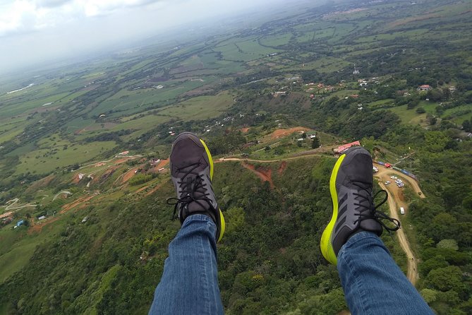 Paragliding + Wine tasting + Hacienda El Paraiso + Saint Helena - Key Things You’ll Really Get From This Day