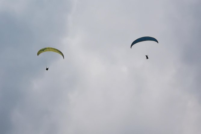 Paragliding + Wine tasting + Hacienda El Paraiso + Saint Helena - Getting Picked Up, Staying on Schedule, and Keeping It Private