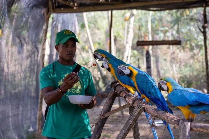 Parrot & Macaw Volunteering in a Wildlife Reserve Near Cartagena - Walking the sanctuary trails and learning biodiversity the practical way