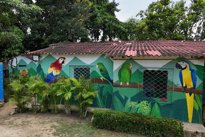 Parrot & Macaw Volunteering in a Wildlife Reserve Near Cartagena - Harvest cassava and papaya with local farmers