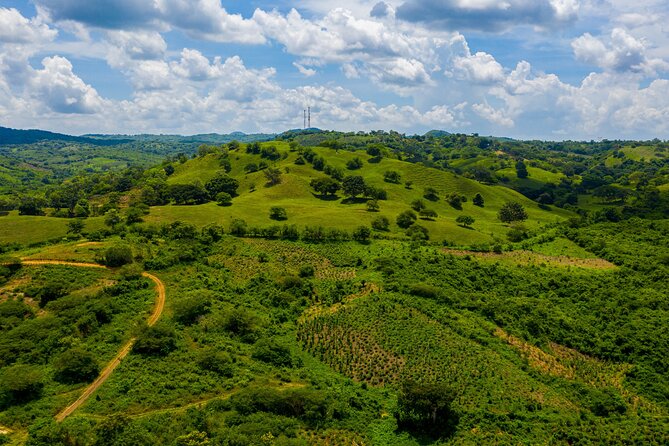 Parrot & Macaw Volunteering in a Wildlife Reserve Near Cartagena - Release-point viewing and the pre-release cage idea