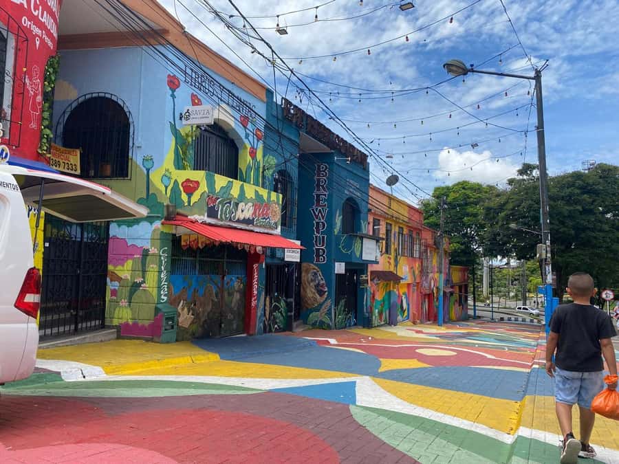 PEREIRA: PRIVATE TOUR OF MAIN SQUARES, HISTORICAL SITES + LOOKOUT POINT - Arboleda Photo Stop and Cerro Canceles Viewpoint, The Best Payoff