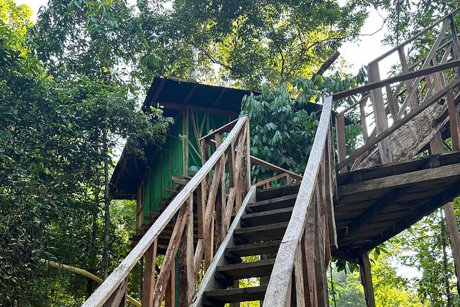 Plan Immersion 5 days 4 nights Leticia Amazonas - Day 4 Puerto Nariño: Ticuna Community Dances, Viewpoints, Victoria Regia, and Dolphins