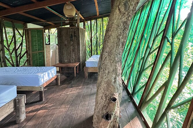 Plan Immersion 5 days 4 nights Leticia Amazonas - Price and Logistics: Getting Value at $880 Plus Tourism Taxes
