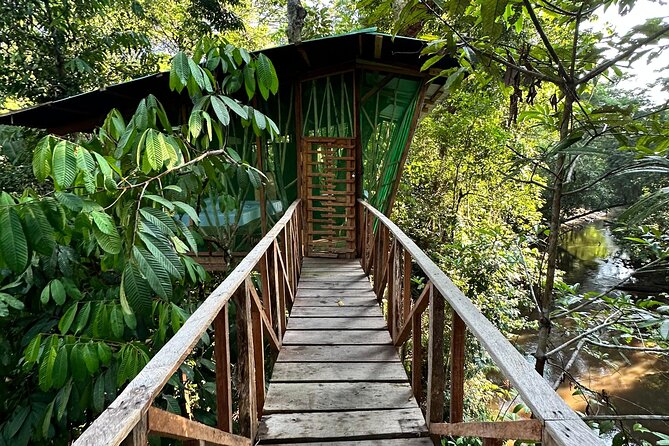 Plan Immersion 5 days 4 nights Leticia Amazonas - Guides and Indigenous Culture: Why the Maloca Talk Matters