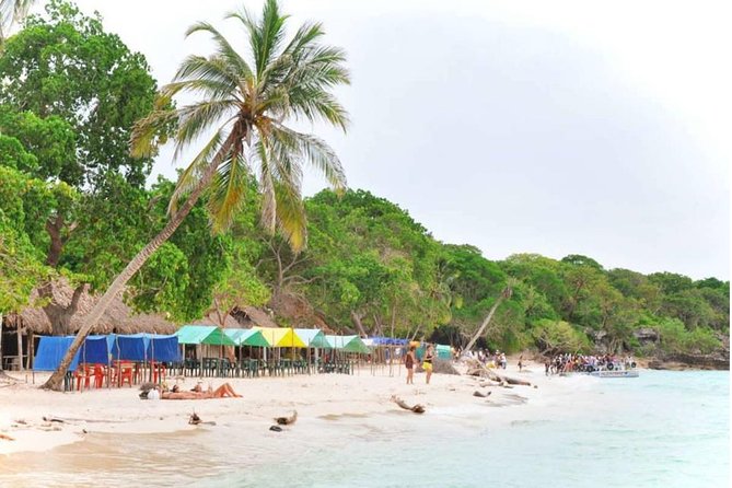 Playa Blanca Barú Tour with Lunch and hotel pick up - Lunch on Barú: coconut rice, patacones, and the fish or chicken choice
