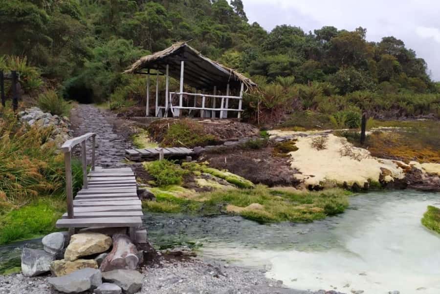 Popayan: Condor Watching in Purace + San Juan Hot Springs - Key highlights worth your attention