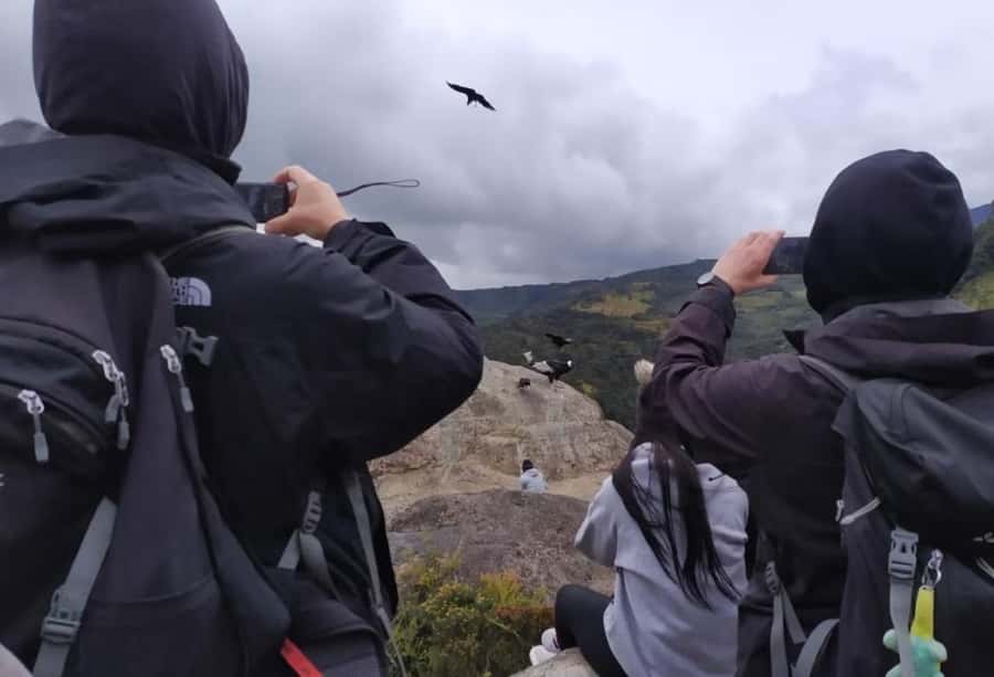 Popayan: Condor Watching in Purace + San Juan Hot Springs - Popayán to Puracé: the early-morning ride that sets the tone