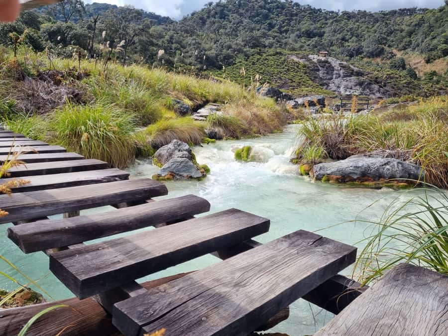 Popayan: Condor Watching in Purace + San Juan Hot Springs - Price and value: why this Puracé plus hot springs day can be worth $119