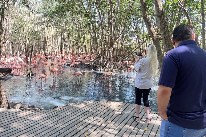 Private and Cultural Experience : National Aviary with Local Guide - Getting From Cartagena to Barú: The Road Trip Portion