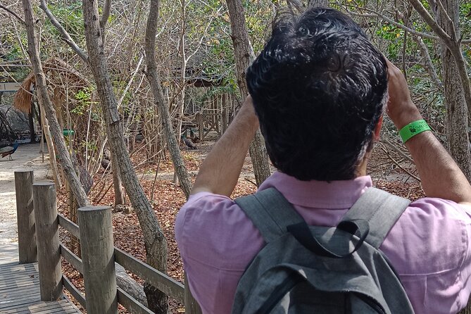 Private and Cultural Experience : National Aviary with Local Guide - How the Two-Hour Walk Feels in Real Life