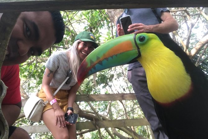 Private Baru Aviary Tour with Lunch Included - From Old City pickup to a private, air-conditioned start