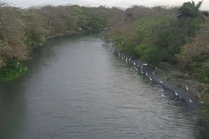 Private Bike Tour of Barranquilla - Intendencia Fluvial Barranquilla and Plaza de la Aduana
