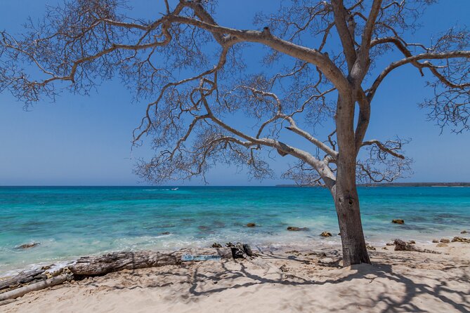 Private Boat Tour of the Rosario Islands - What to bring, what to pay for, and how to avoid surprise costs