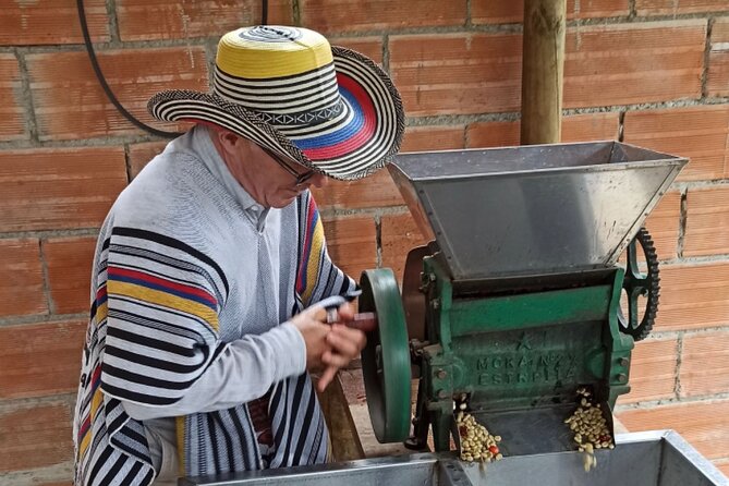 Private coffee tour near Medellín, from bean to cup. - Key highlights you should care about