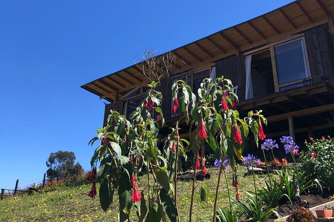 Private Day of Immersion in Country Life with Food - Price and value: why $65 can make sense here