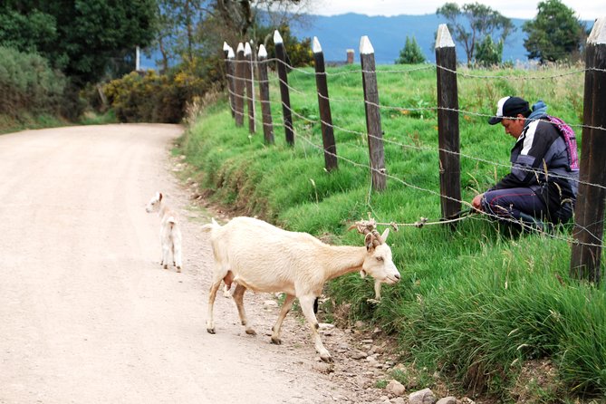Private Day Trip to Traditional Towns Around Bogotá (9 Hrs.) - Stop Two in Chía: Another 45 Minutes to Feel the Surroundings