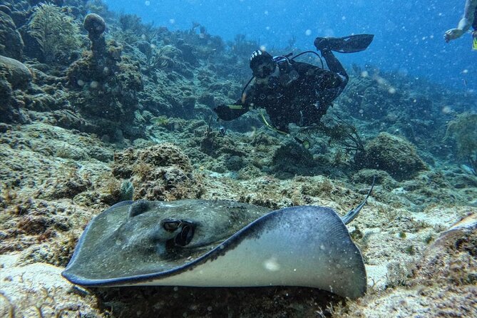 Private Diving Experience for Beginners in San Andres Islands - Key highlights you’ll care about