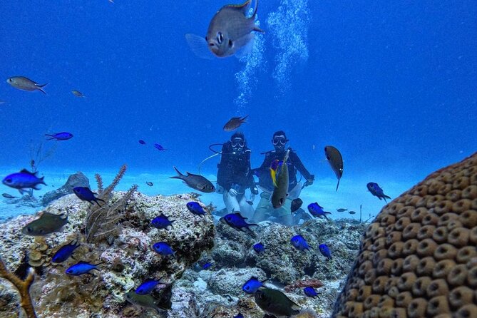 Private Diving Experience for Beginners in San Andres Islands - San Andrés Scuba Intro: What the 2.5 Hours Actually Includes