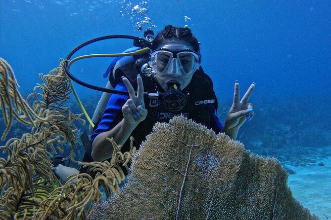 Private Diving Experience for Beginners in San Andres Islands - Your Underwater Time at 6 to 12 Meters: Reef Views Without the Chaos