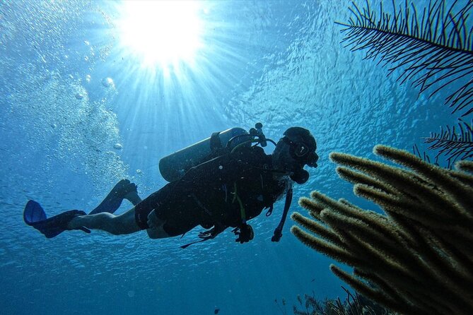 Private Diving Experience for Beginners in San Andres Islands - Shallow Water Skills at About 2 Meters: The Part That Builds Confidence