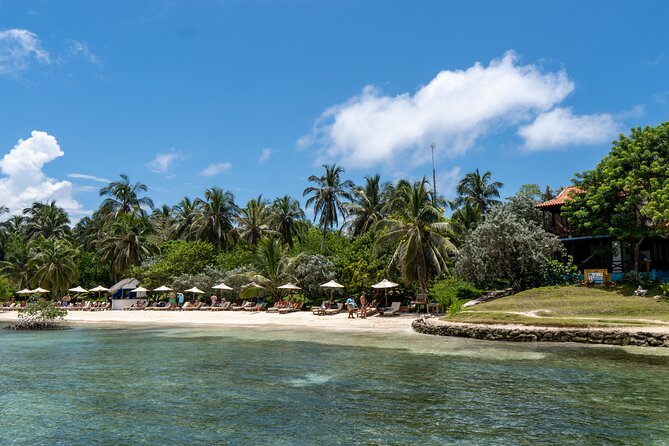 Private Full Day Tour 5 Spots Rosario Islands VIP - Islas de Rosario snorkeling for coral and fish: the 45-minute sweet spot