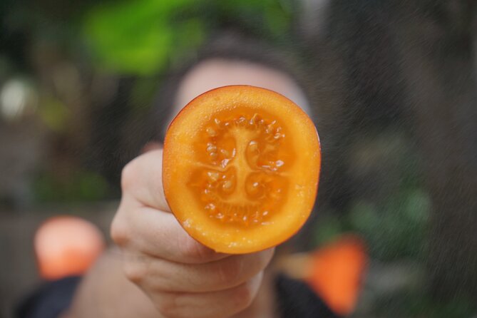 Private Getsemani Family Fruit Experience in Cartagena - Key Highlights at a Glance