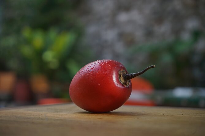 Private Getsemani Family Fruit Experience in Cartagena - Price and Value: Is $93 Per Person Worth It?