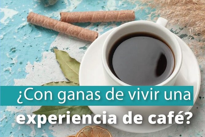 Private Guided Walking Tour and Coffee Workshop in Bogota - Bogota coffee walk: what this 3-hour private tour really delivers