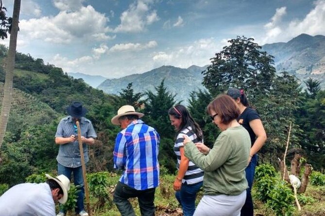 Private Half-Day Coffee Tour at Family Farm Close to Medellín! - Key points at a glance