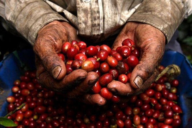 Private Half-Day Coffee Tour at Family Farm Close to Medellín! - Pickup in Medellín and the quick route to Sabaneta